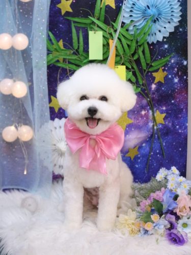 20250710姫葵ちゃん